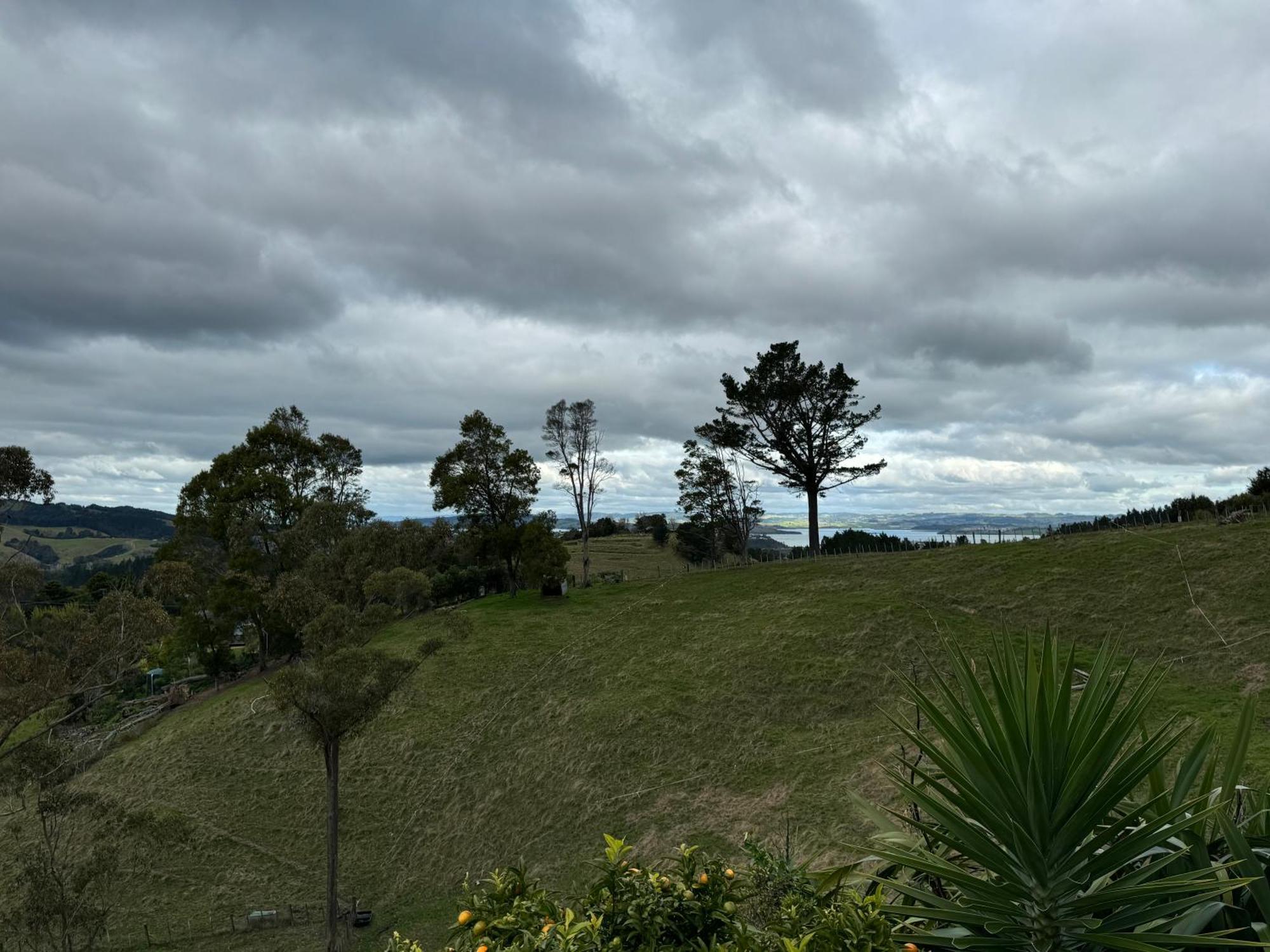 Private Cabin Close To The City Centre Whangarei Eksteriør billede