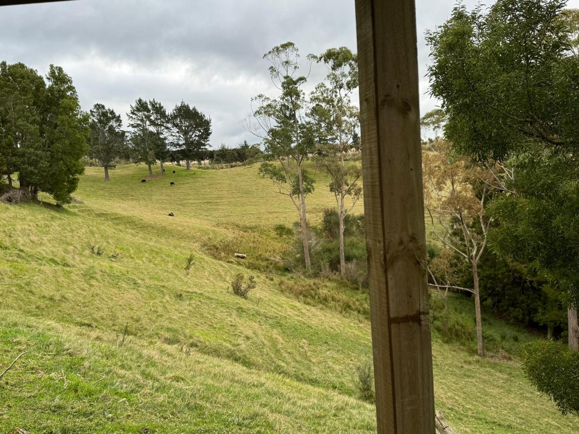 Private Cabin Close To The City Centre Whangarei Eksteriør billede